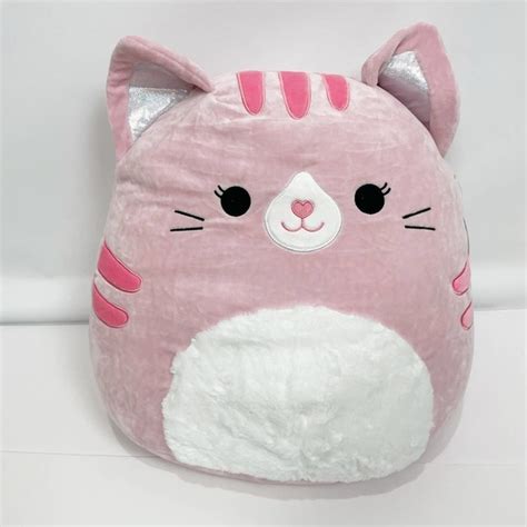Squishmallows Toys Squishmallows Laura Cat Plush Pink 6 Inch Nwt