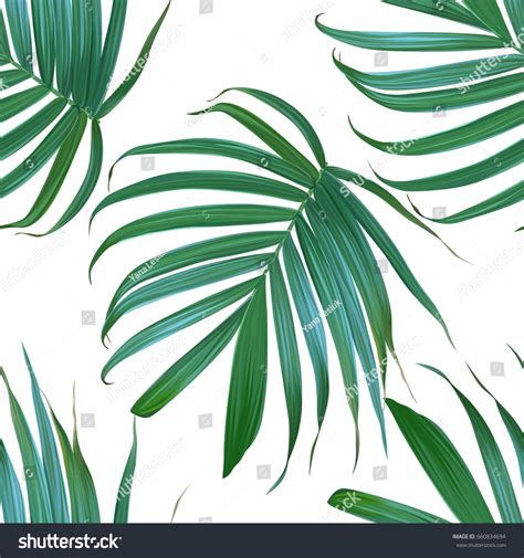 Manuscrit en feuille de palmier (fr); Vector Palm Leaf Background Tropical Leaves Stock Vector 660834694 - Shutterstock