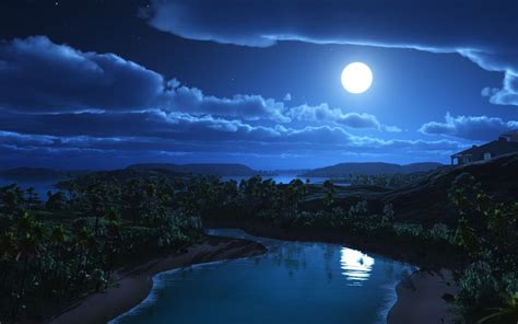 The Hills The Moon And Palm Trees Beautiful Night Landscape Phone