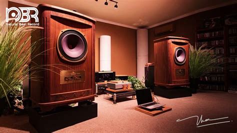 Audiophile Perfect Room And Hi Res Music Natural Beat Records Youtube