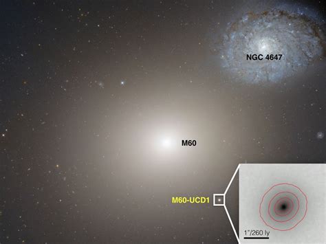 Ultracompact Dwarf Galaxy Archives Universe Today