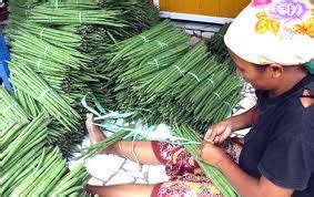 Kelor adalah salah satu tanaman yang paling bernutrisi di dunia. Artikel Kesehatan: Manfaat Daun Kelor bagi Kesehatan