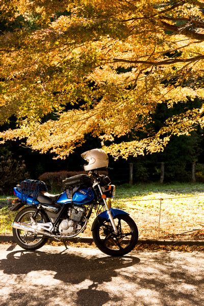 Motorcycle In The Autumn Leaves Free Stock Photos In  Format For