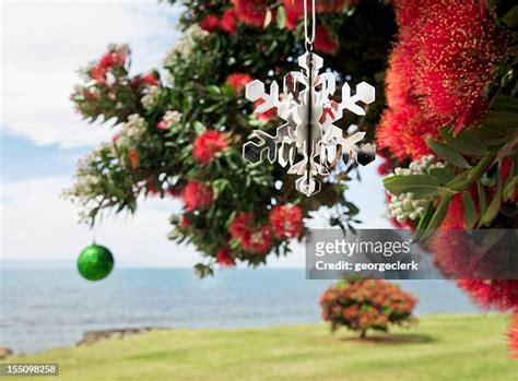 Nz Christmas Photos And Premium High Res Pictures Getty Images