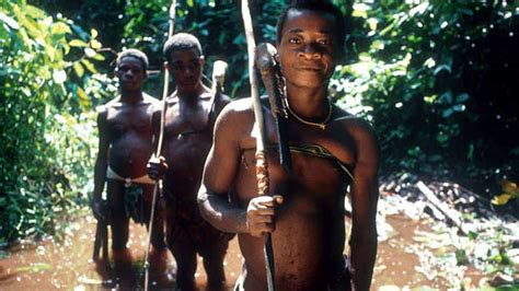Congo Basin The Indigenous Peoples Of Africa Co Ordinating Committee