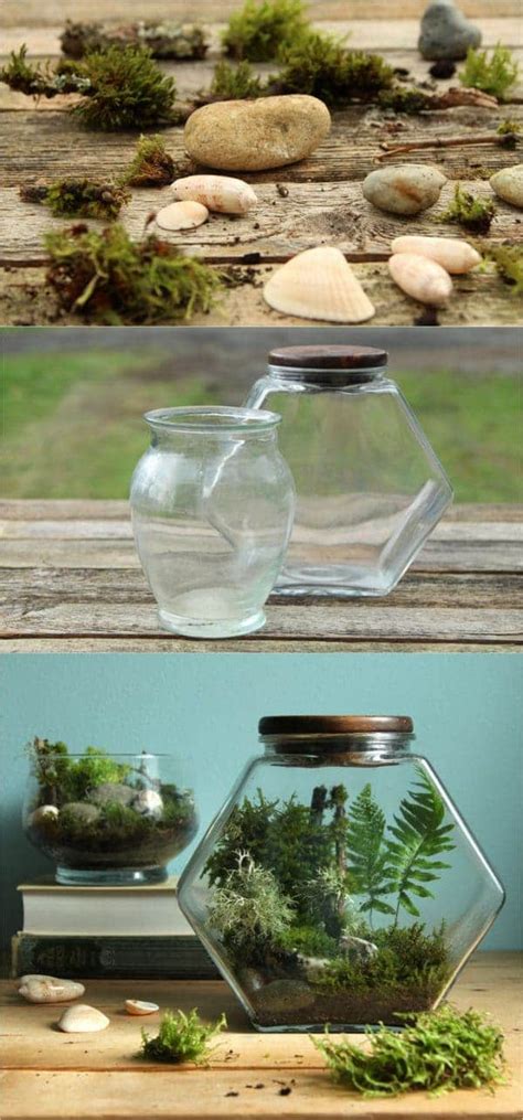 Beautiful Diy Terrarium In 3 Easy Steps No Care For 3 Months A