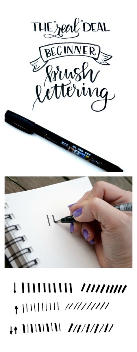 Beginner Brush Lettering Basic Brushstrokes Amy Latta Creations