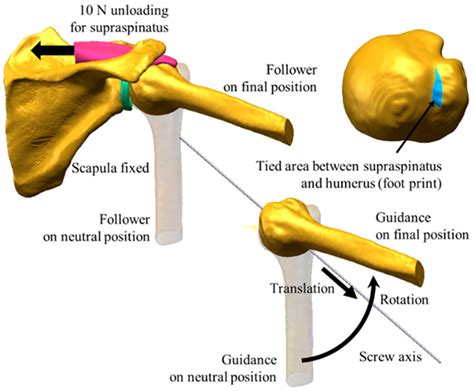 Posterior Impingement Syndrome Shoulder Quotes Welcome