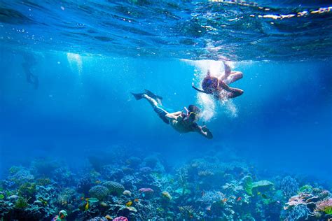 Top 10 Best Places To Snorkel In Turks And Caicos Beaches