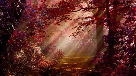 Red Autumn Forest With Sunrays Hd Nature Wallpapers Hd Wallpapers