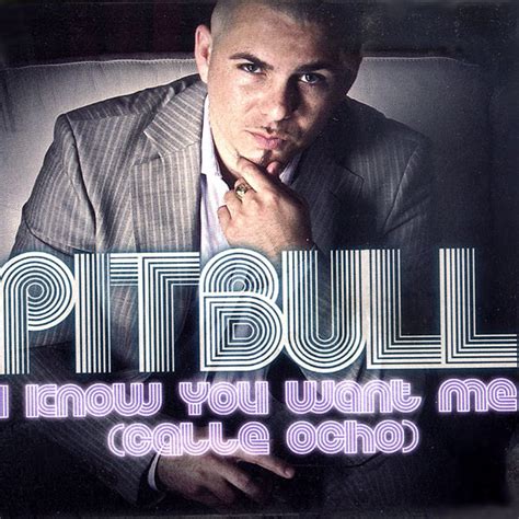 pitbull i know you want me calle ocho releases discogs