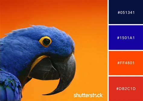 10 Psychological Color Palettes To Win Friends And Influence People