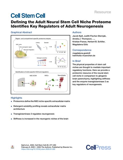 Pdf Defining The Adult Neural Stem Cell Niche Proteome Identifies Key