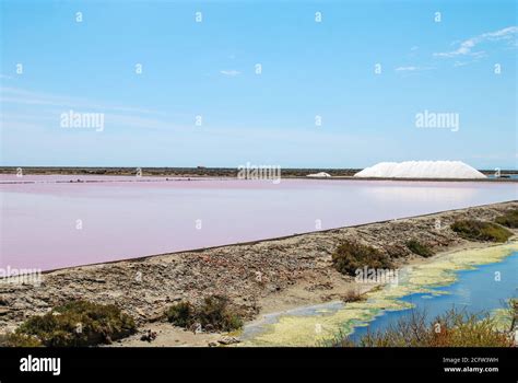 The Pink Salt Producing Waters Of Gruissan France Stock Photo Alamy