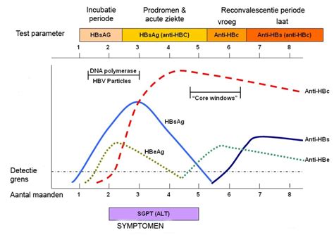 Read about symptoms, diagnosis, treatment. Hepatitis B - Mmmig
