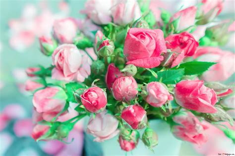 Pink Roses Bouquet 2k Wallpaper Download
