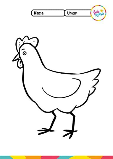 25 Contoh Sketsa Gambar Ayam Untuk Kolase Terbaru Postsid