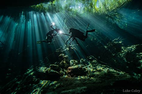 Top 11 Tips For Cenote Photography Underwater Photography Guide