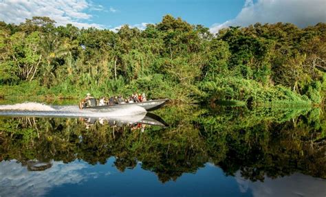 The Peruvian Amazon 26 Images That Capture Its Beautiful Diversity