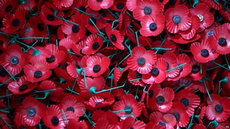 Remembrance Poppy Controversies And How To Wear It Bbc Newsbeat