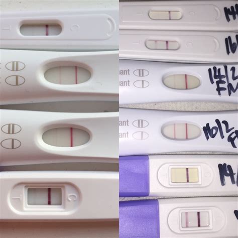 1 Week Faint Line On Pregnancy Test Not Getting Darker Pregnancy Test