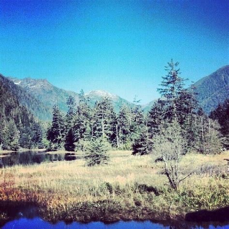 A Beautiful October Day At Clayoquot Wilderness Resort Wildretreat