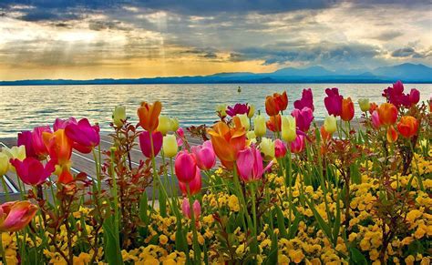 Nature Desktop Spring Images Refreshing Colors Of Spring Nature