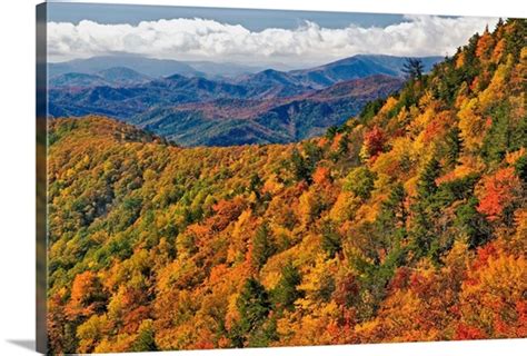 Appalachian Mountains In Autumn Photo Canvas Print Great Big Canvas