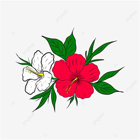 Gambar Ilustrasi Vektor Bunga Hibiscus Dengan Desain Sederhana Clipart