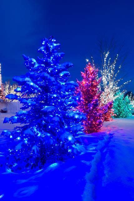 Christmas Lights In Snow Christmas Lights Pinterest
