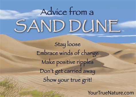 Advice From A Sand Dune Jumbo Magnet Your True Nature Nature