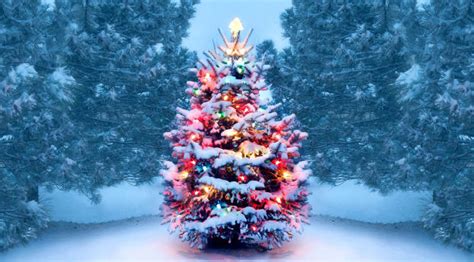 2100x900 Resolution Christmas Tree With Snow And Lights Decoration