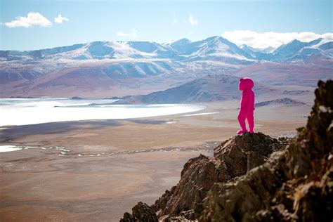 a pink bear in mongolia how paul robinson hit the steppes with a colorful character digital