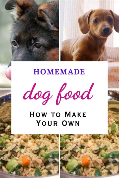 Easy Homemade Dog Food For Allergies Parenting Lounge
