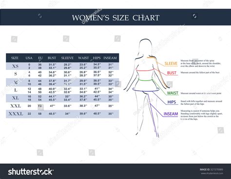Size Chart Women Measurements Clothing Female Stock Vector 321570989