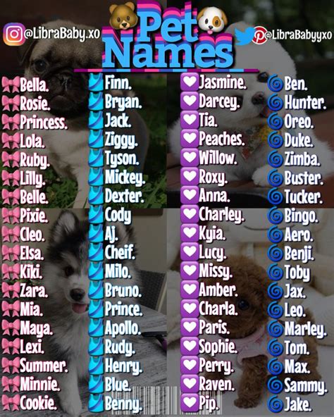 Pet Names🐶 Cute Pet Names Cute Names For Dogs Cute Animal Names