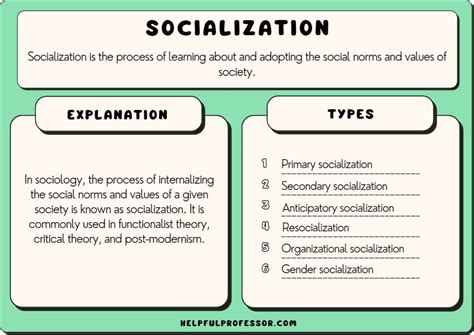 Socialization In Sociology Definition Types 10 Examples 2024