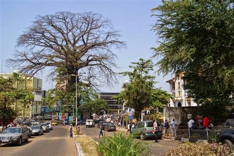 The Cotton Tree In Freetown Sierra Leone Amusing Planet