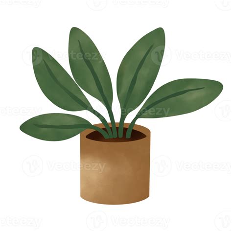 Free Potted Plants Illustration House Plants 15341588 Png With