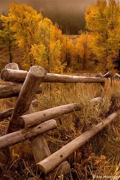 Best Scenic Views Autumn In Jackson Hole Grand Tetons National Park