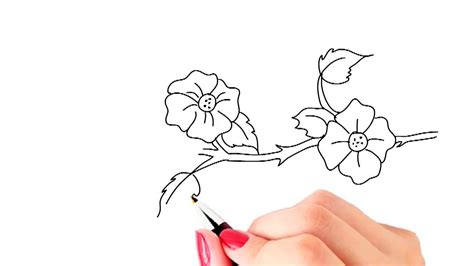 How To Draw Beautiful Flowers With Branch And Leaves Yzarts Yzarts