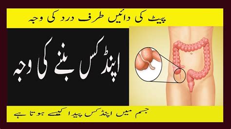 Stomach Pain Right Side Appendix Cause In Urdu Appendix Ya Paiet Ke Dayi Taraf Dard Ki Waja