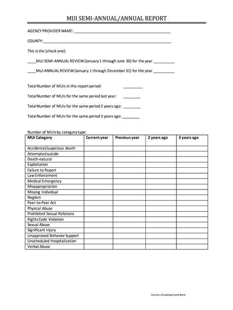 Semi Annual Energy Project Perforamce Report Form Fillable Printable
