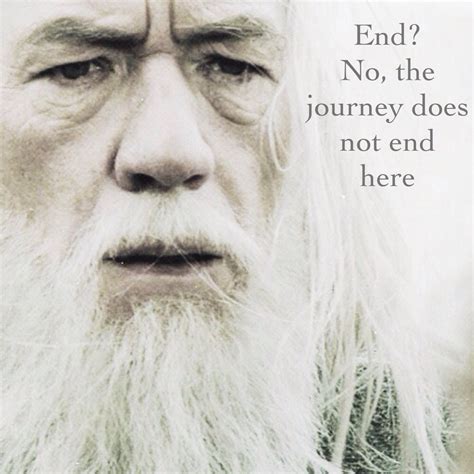Gandalf Quotes About Journey Aden