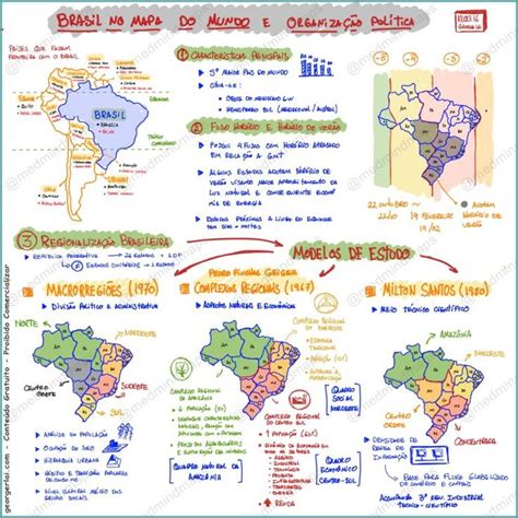 Geografia Brasil No Mapa Do Mundo E Organiza O Pol Tica Med Mind