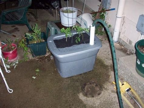 Self Watering Veg Container Earthbox Self Watering Containers Garden