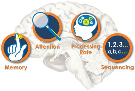 Developing The Young Brain Fitbrain