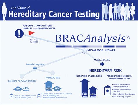 Difference Between Brca1 And Brca2 Positive Bioscience
