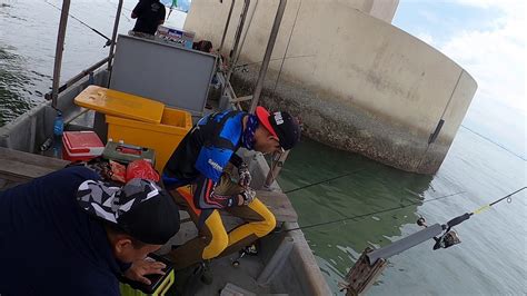 Jabatan kastam diraja malaysia pulau pinang. mencari cencaru jambatan kedua pulau pinang |goprohero8 ...