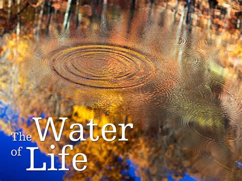 The Water Of Life Gloria Dei Lutheran Church